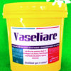 Vaseliare